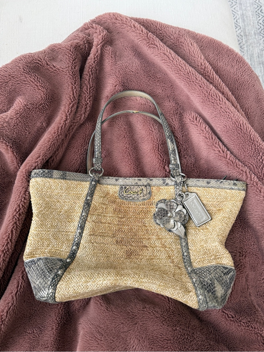 Coach Alexandra Python Straw Tote Bag (Style F21959)